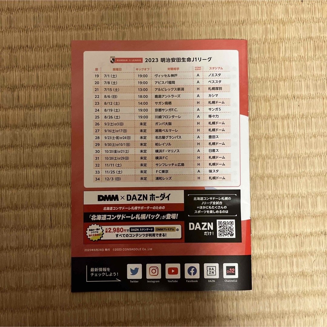 コンサドーレ札幌観戦ガイド2023年版 スポーツ/アウトドアのサッカー/フットサル(記念品/関連グッズ)の商品写真