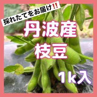 やみつき‼️丹波産枝豆1k入‼️(野菜)