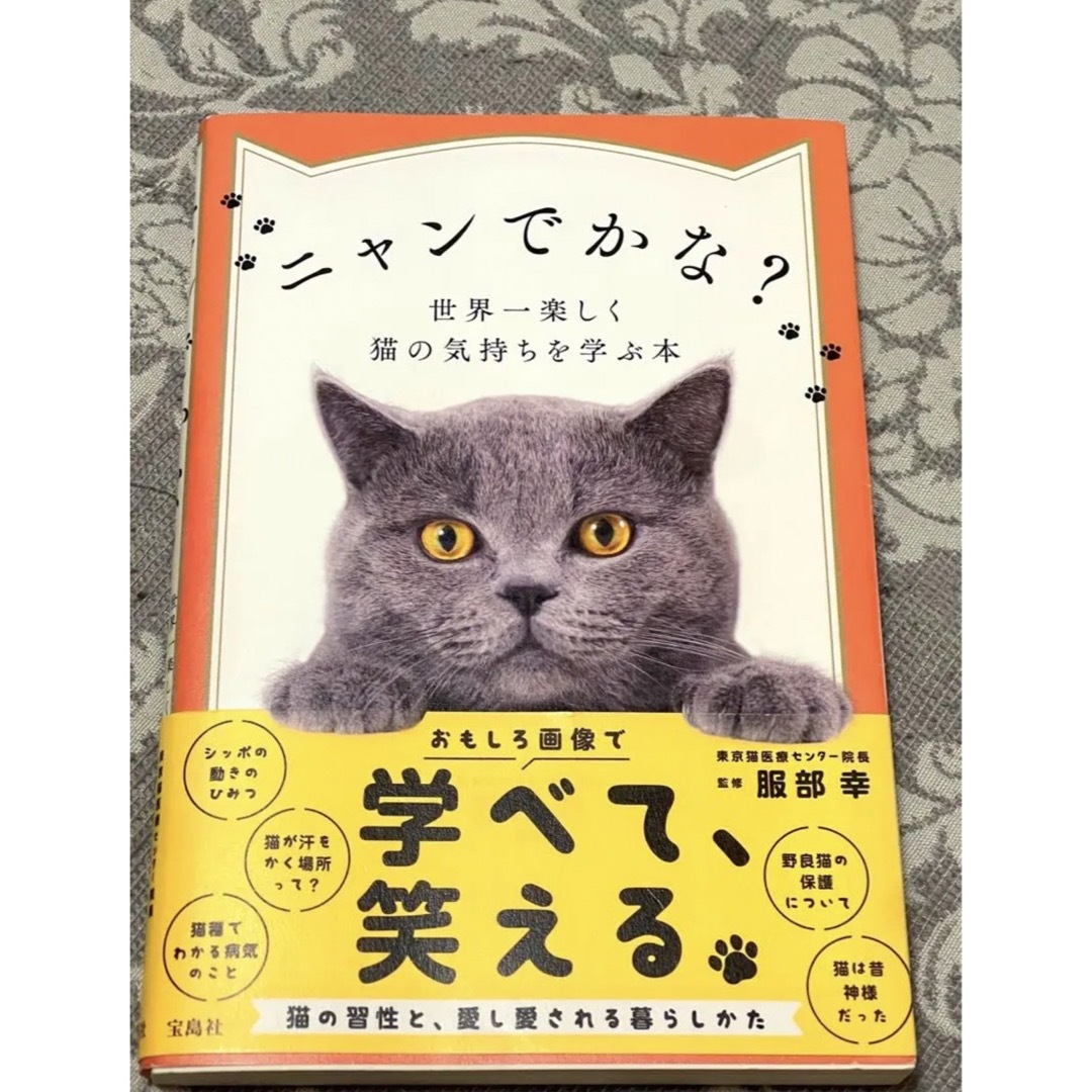 ニャンでかな？＊おもしろ画像＊学べて、笑える＊猫＊猫の習性＊楽しく学べる エンタメ/ホビーの本(住まい/暮らし/子育て)の商品写真