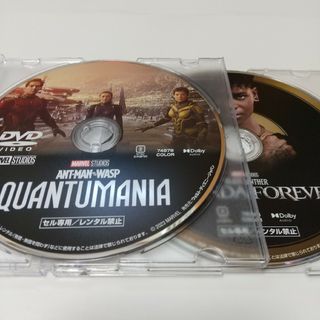 マーベル(MARVEL)のアントマン&ワスプ:クアントマニア ('23米)DVDディスク(外国映画)