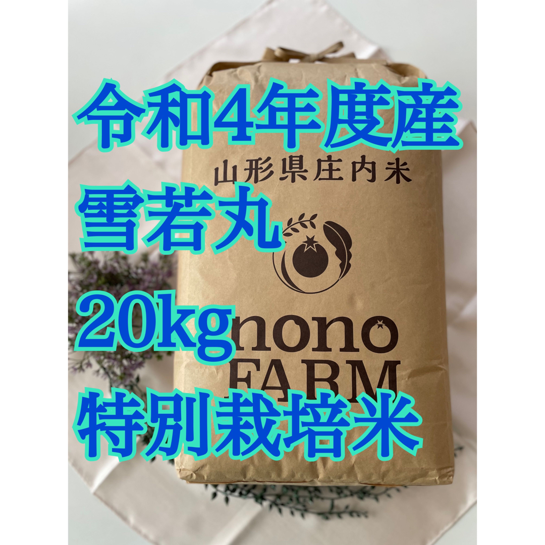 食品雪若丸　20kg 特別栽培米　令和4年産 山形