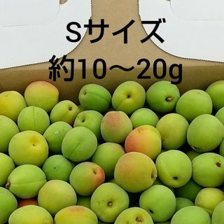 梅(Sサイズ) 約6kg(フルーツ)