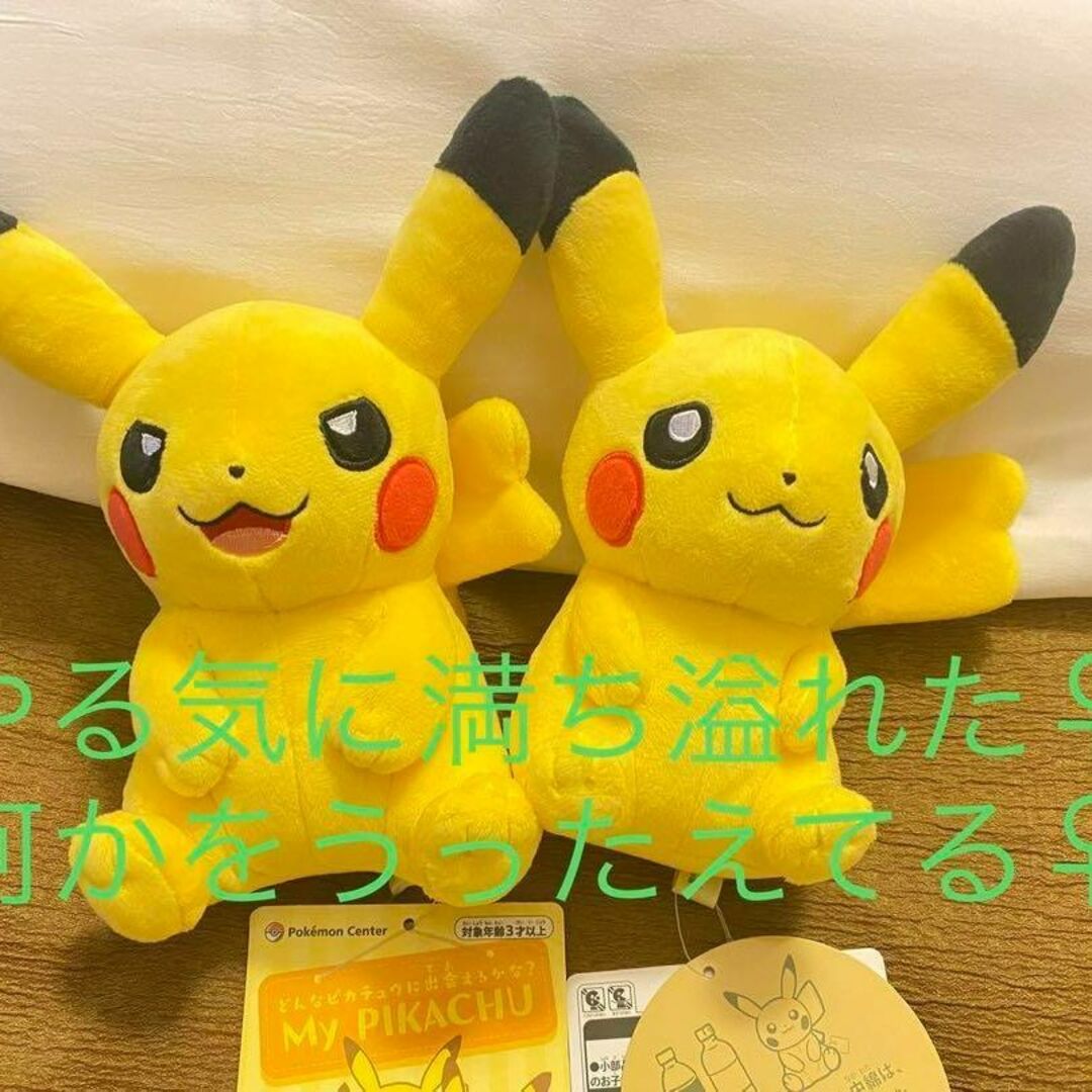 マイピカチュウ　ポケモンセンター 2体セット | フリマアプリ ラクマ