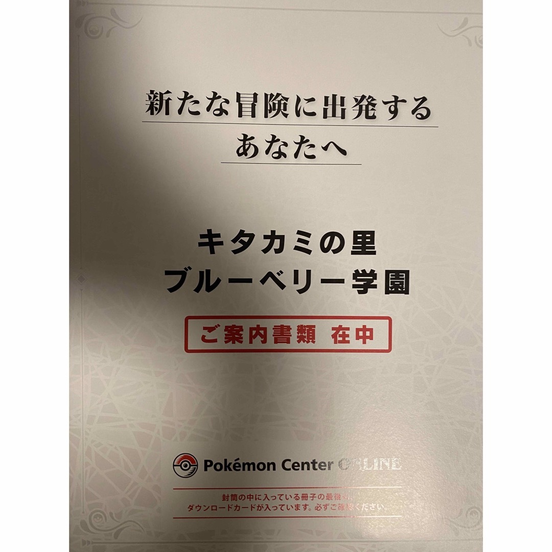 ゼロの秘宝 エンタメ/ホビーのゲームソフト/ゲーム機本体(家庭用ゲームソフト)の商品写真