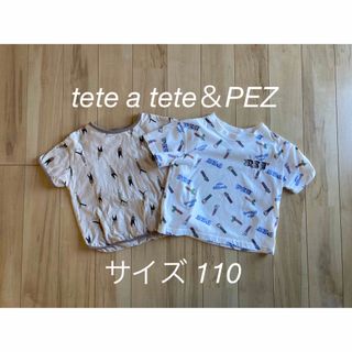 テータテート(tete a tete)のバースデイ テータテート ペッツ トップス Tシャツ(Tシャツ/カットソー)