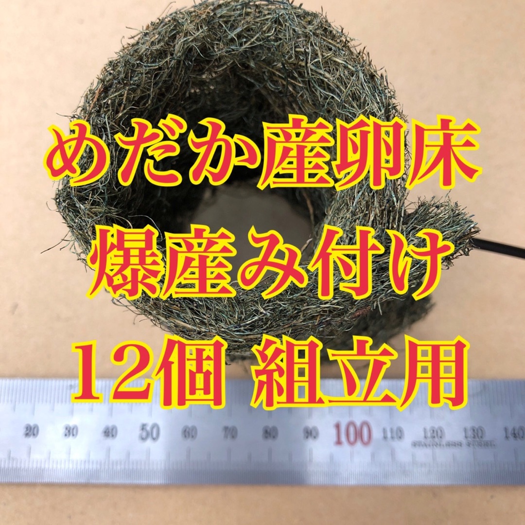 産卵床 200個 トンネル型 組立済 ヤシ繊維使用 メダカの産卵床 産卵マット-