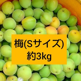 梅(Sサイズ) 約3kg(フルーツ)