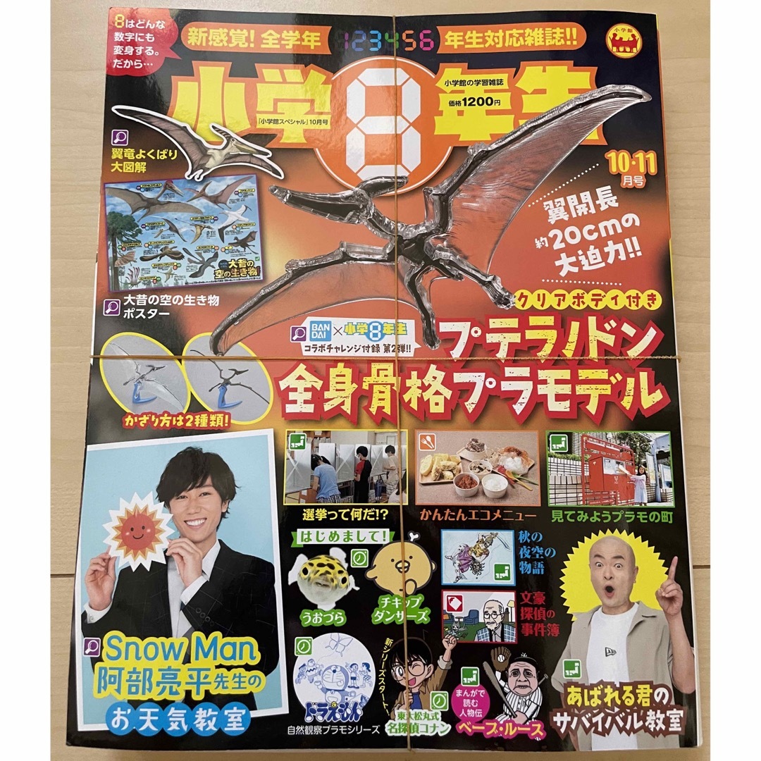 小学館(ショウガクカン)の＊新品・未開封＊小学8年生　恐竜　プテラノドン　プラモデル エンタメ/ホビーのおもちゃ/ぬいぐるみ(模型/プラモデル)の商品写真