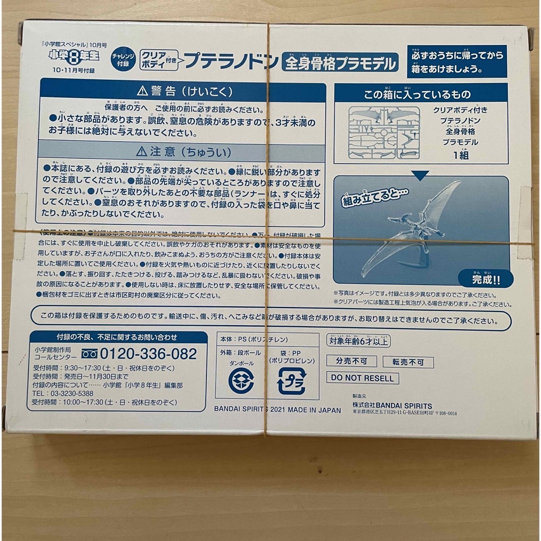 小学館(ショウガクカン)の＊新品・未開封＊小学8年生　恐竜　プテラノドン　プラモデル エンタメ/ホビーのおもちゃ/ぬいぐるみ(模型/プラモデル)の商品写真