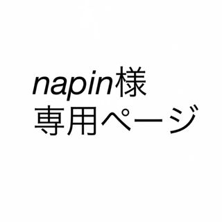 アンドビー(&be)のnapin様専用ページです。(フェイスパウダー)