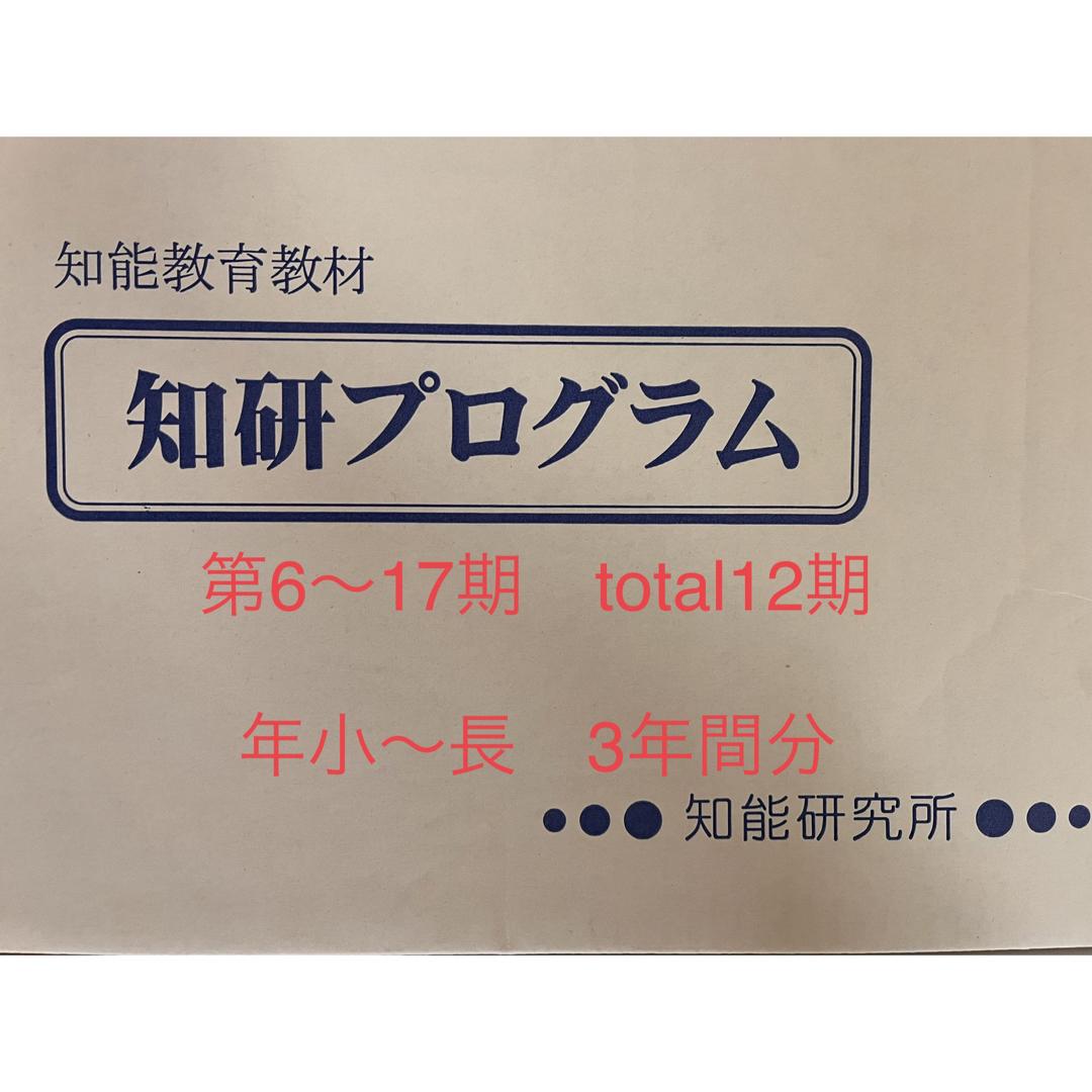 知研プログラム　キッズアカデミー　チャイルドアイズ　知育 キッズ/ベビー/マタニティのおもちゃ(知育玩具)の商品写真