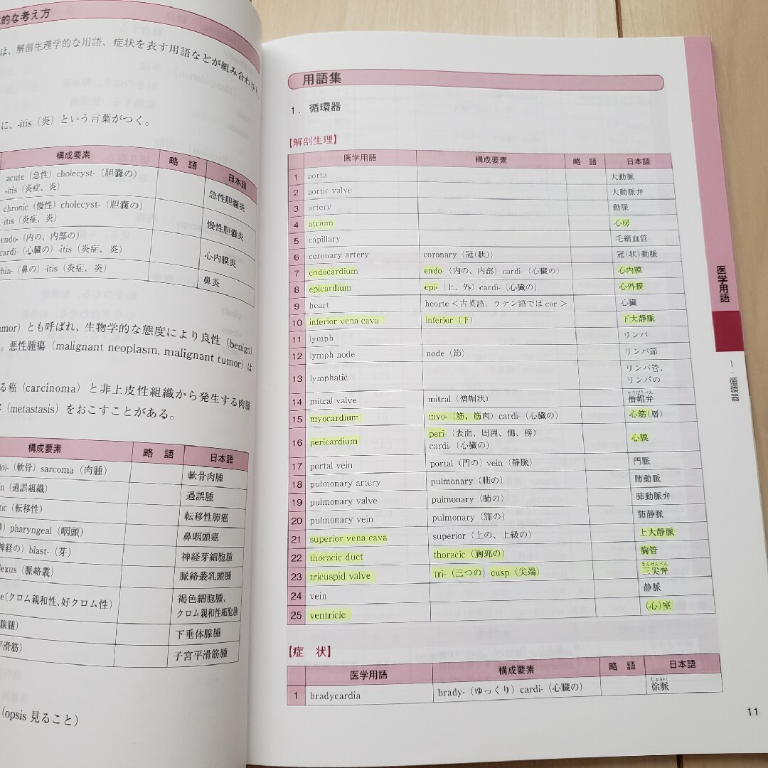 診療情報管理士テキスト診療情報管理Ⅱ 基礎・医学・医療用語編第８版 エンタメ/ホビーの本(語学/参考書)の商品写真