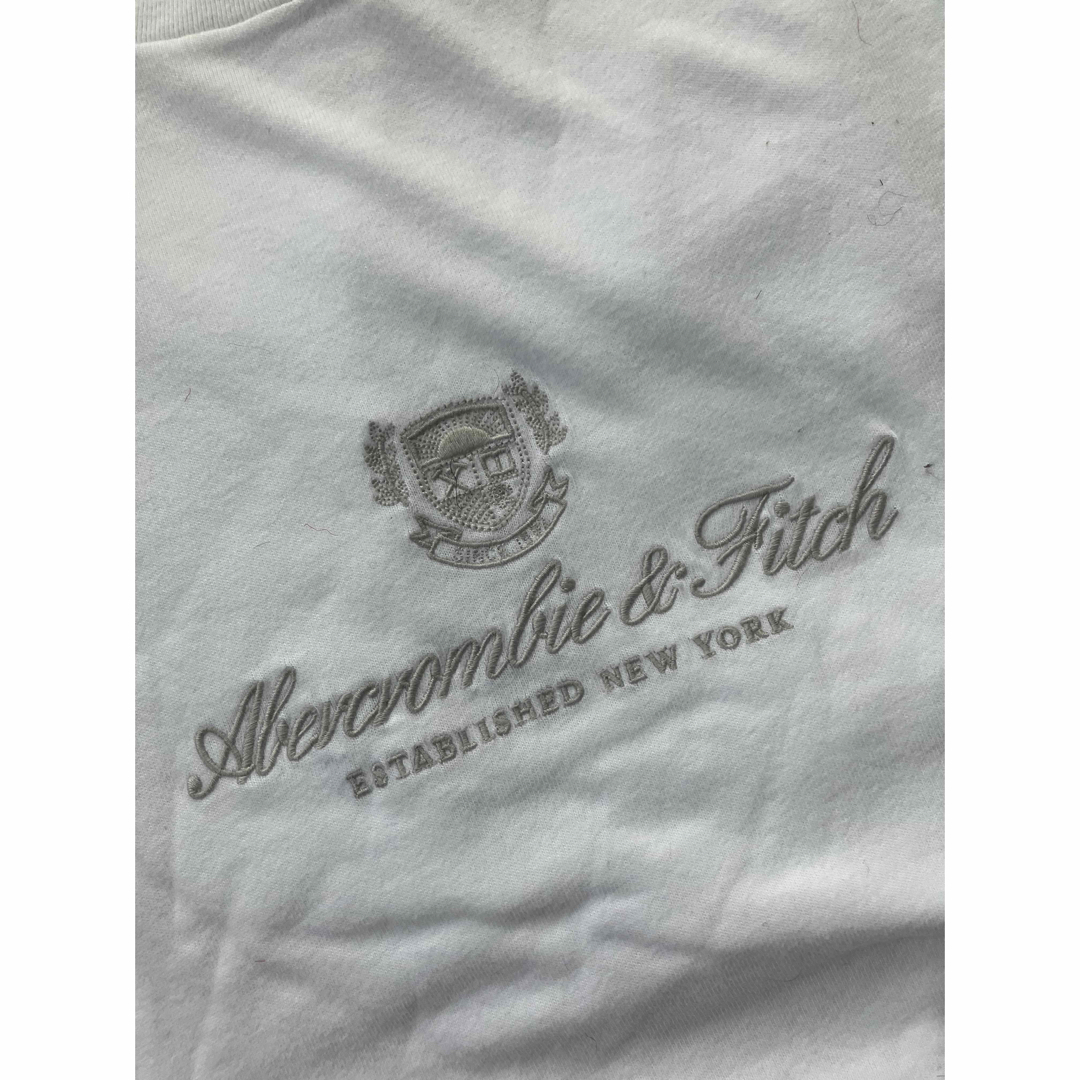 Abercrombie&Fitch(アバクロンビーアンドフィッチ)の【新品未使用】3Lサイズ▼アバクロ▼半袖Tシャツ　総刺繍 メンズのトップス(Tシャツ/カットソー(半袖/袖なし))の商品写真