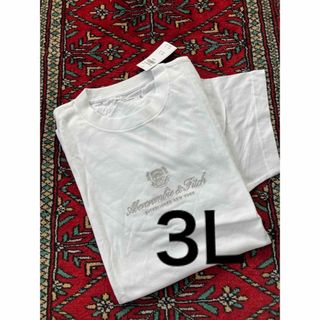 アバクロ(Abercrombie&Fitch) ロゴTシャツ Tシャツ・カットソー(メンズ