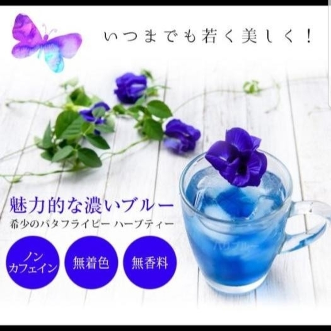 今日だけセール 神秘の青いお茶 バタフライピーティー50包セット 食品/飲料/酒の飲料(茶)の商品写真