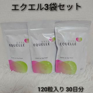 オオツカセイヤク(大塚製薬)のエクエル 120粒入り 3袋セット(その他)