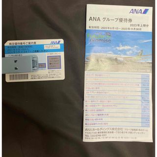 ANA株主優待 ANAグループ優待券(航空券)