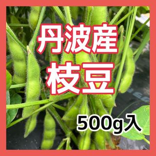 人気商品‼️丹波産枝豆500g入‼️(野菜)