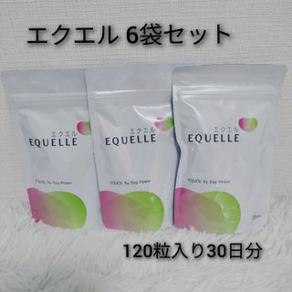 オオツカセイヤク(大塚製薬)のエクエル 120粒入り 6袋セット(その他)