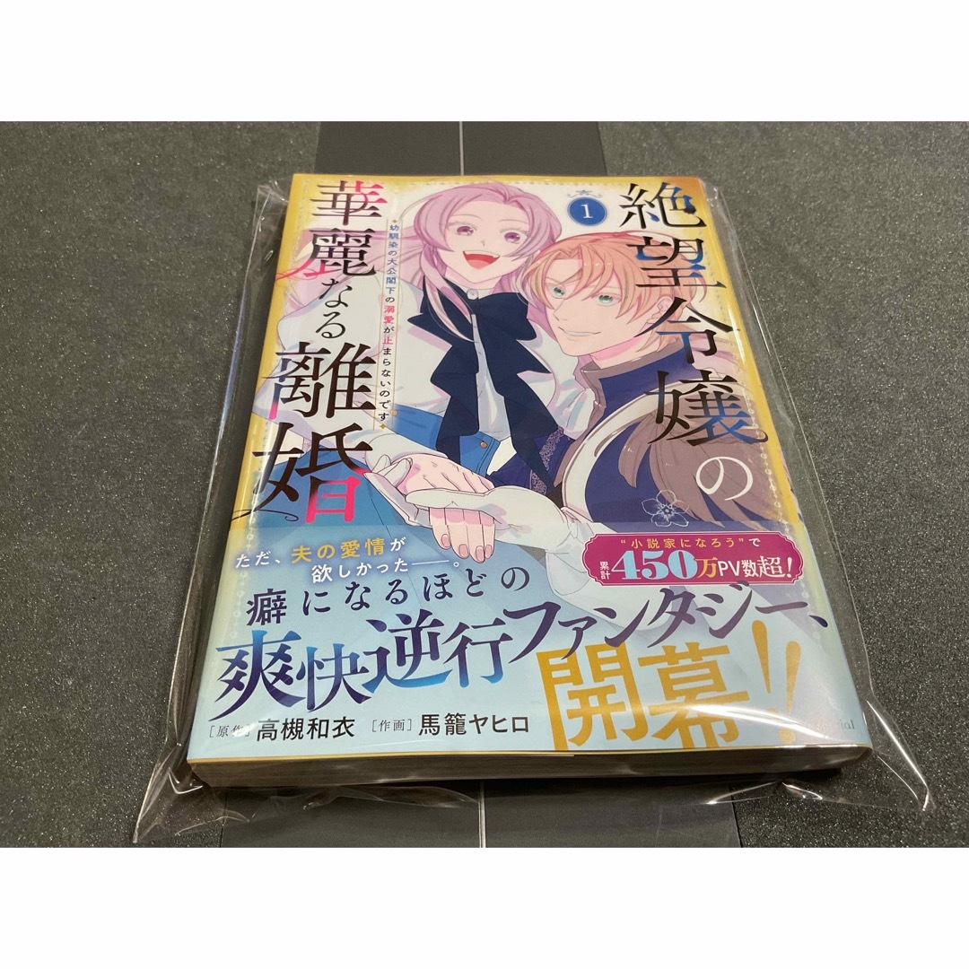 絶望令嬢の華麗なる離婚~幼馴染の大公閣下の溺愛が止まらないのです