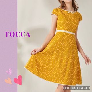 トッカ(TOCCA)のコットン100% TOCCA  トッカ CARMELLA ドレス　ワンピース　(ひざ丈ワンピース)