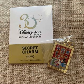 ディズニー(Disney)のディズニーストア 30周年チャーム(キャラクターグッズ)