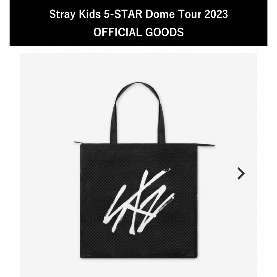 stray kids SKZOO 5STAR DOME メッシュバッグ バック