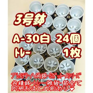 プラ鉢【A-30】24個+専用システムトレー1枚 スリット鉢プレステラ多肉植物(プランター)