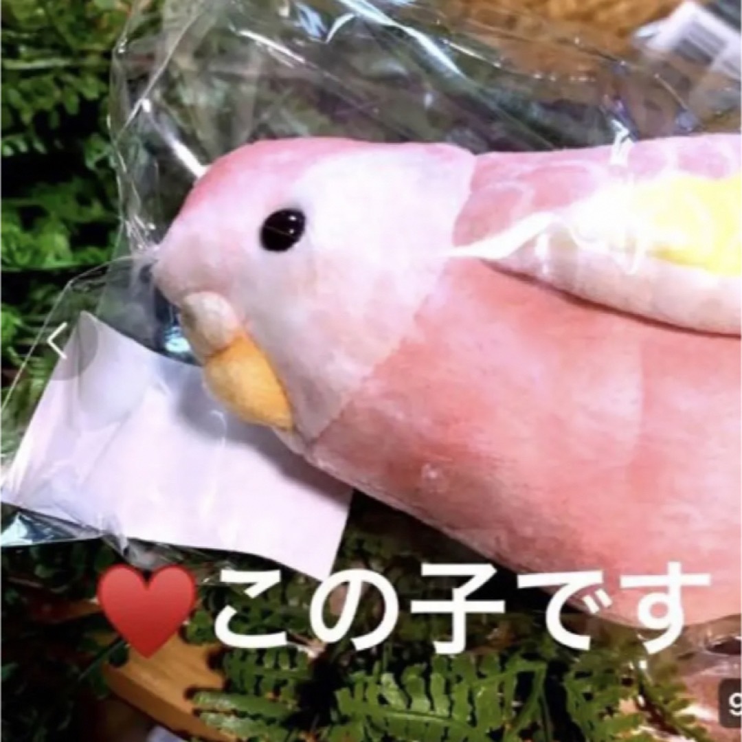 FELISSIMO(フェリシモ)のYOU+MORE!×小鳥部　愛らしいしぐさにきゅん　ポーチ  アキクサインコ レディースのファッション小物(ポーチ)の商品写真