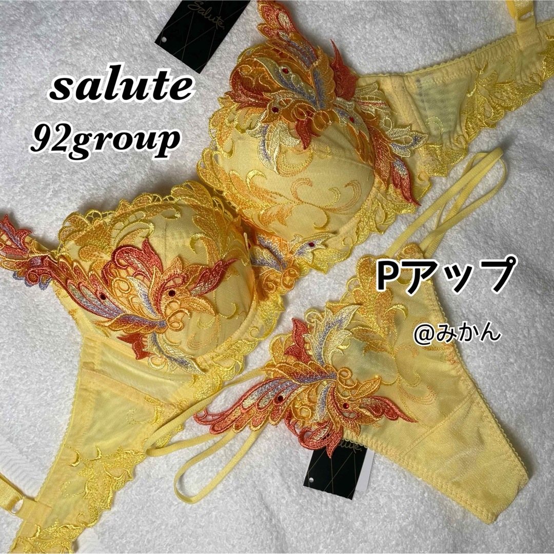 人気スポー新作 ワコール✨️♥️サルート92グループPアップブラソング