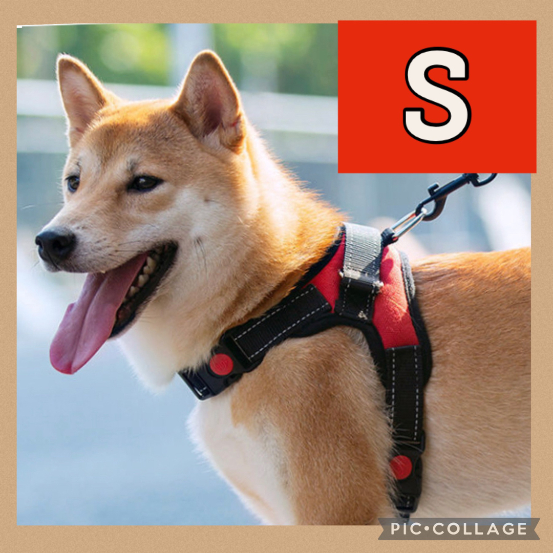 ハーネス 犬用 小型犬 中型犬 赤 レッド 抜けにくい Mサイズ Sサイズの通販 by ここあshop✨土日セール開催✨|ラクマ ペット用ハーネス 犬用 赤色 サイズ S