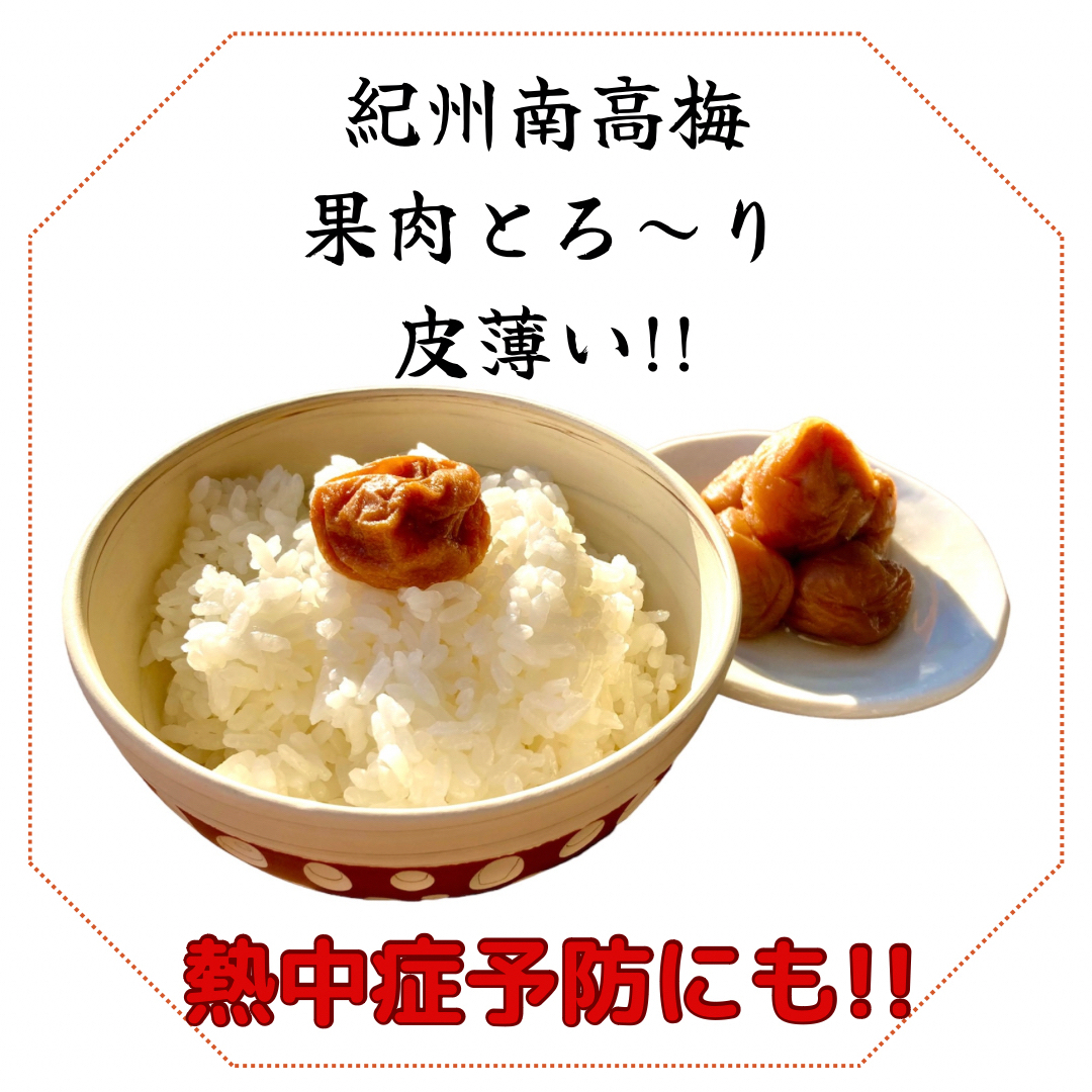 紀州南高梅  無添加 昔ながらのすっぱ～い白干し梅 2L 家庭用250g×2① 食品/飲料/酒の加工食品(漬物)の商品写真