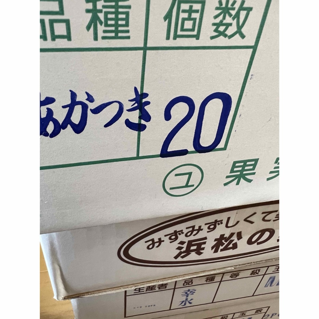 あかつき桃、幸水梨セット