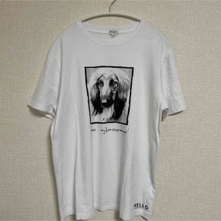 ポールスミス(Paul Smith)の【美品】ポールスミス 半袖 Tシャツ Mサイズ(Tシャツ/カットソー(半袖/袖なし))