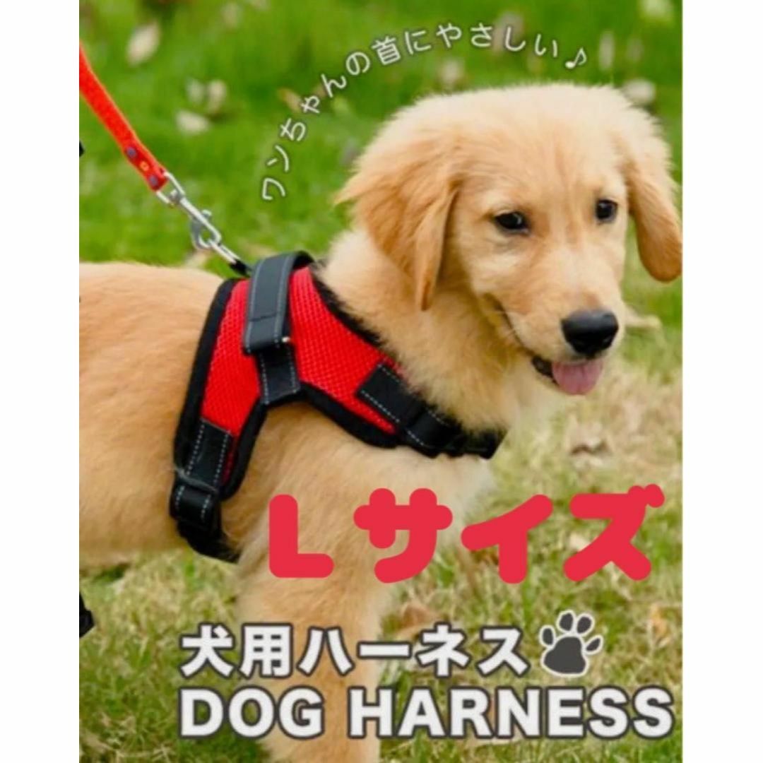 【Mサイズ】ハーネス 犬用品 レッド 赤 犬服 ペット服 胴輪 大型犬 ソフト その他のペット用品(犬)の商品写真