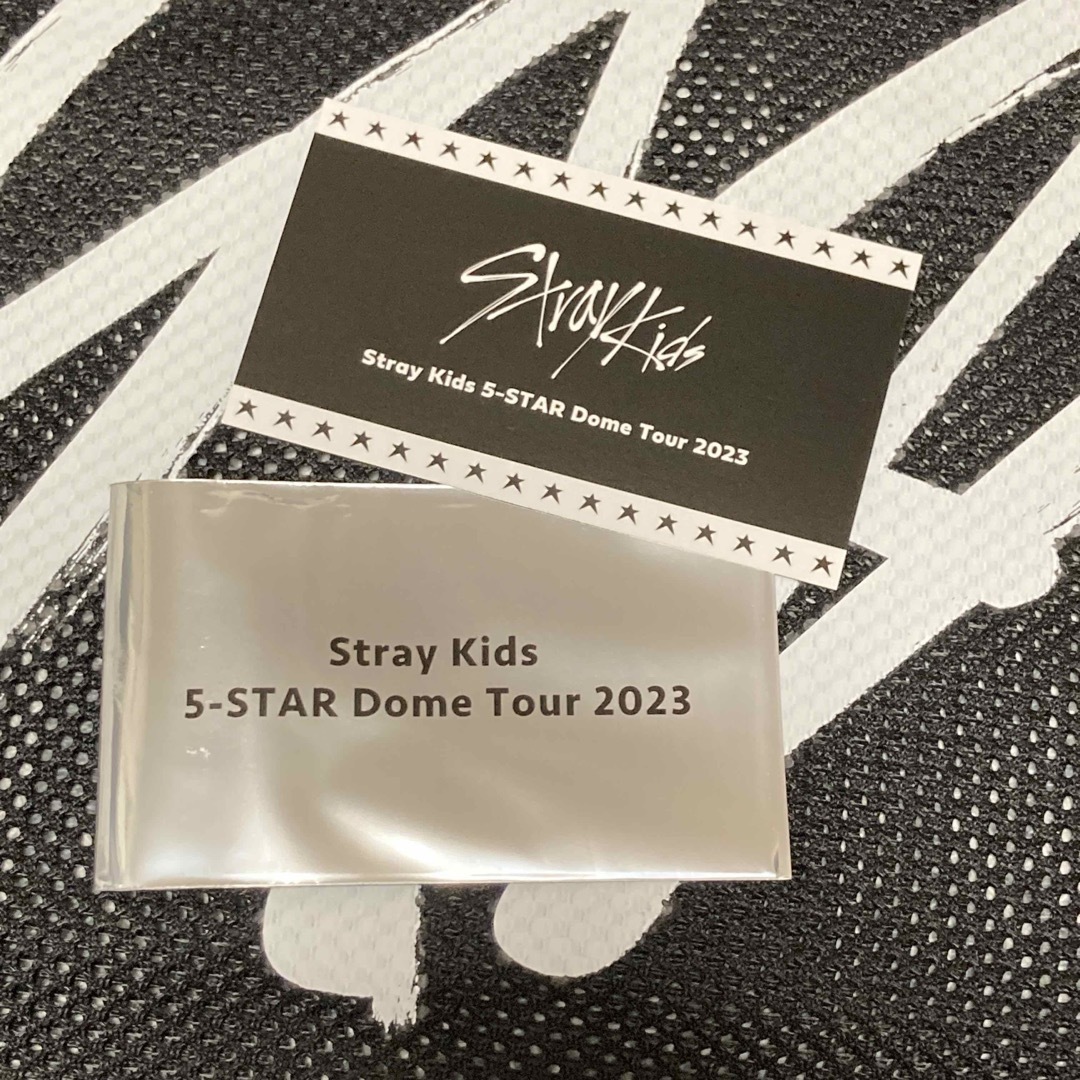 Stray Kids - Stray Kids 5-star 特典カード バンチャン スキズ ドーム