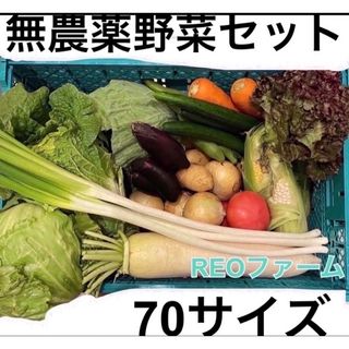 愛知県産　野菜　詰め合わせ　セット　70サイズ(野菜)