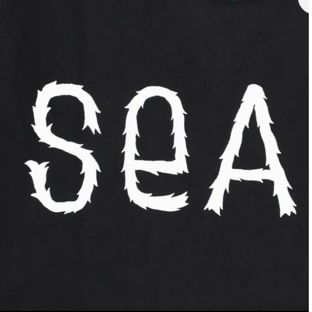 WIND AND SEA(ウィンダンシー)のwind and sea POLER  WDS-C-PLR-LSTEE1  XL メンズのトップス(Tシャツ/カットソー(七分/長袖))の商品写真