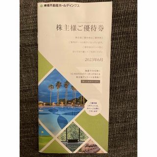 東急不動産ホールディングス株主優待券(その他)