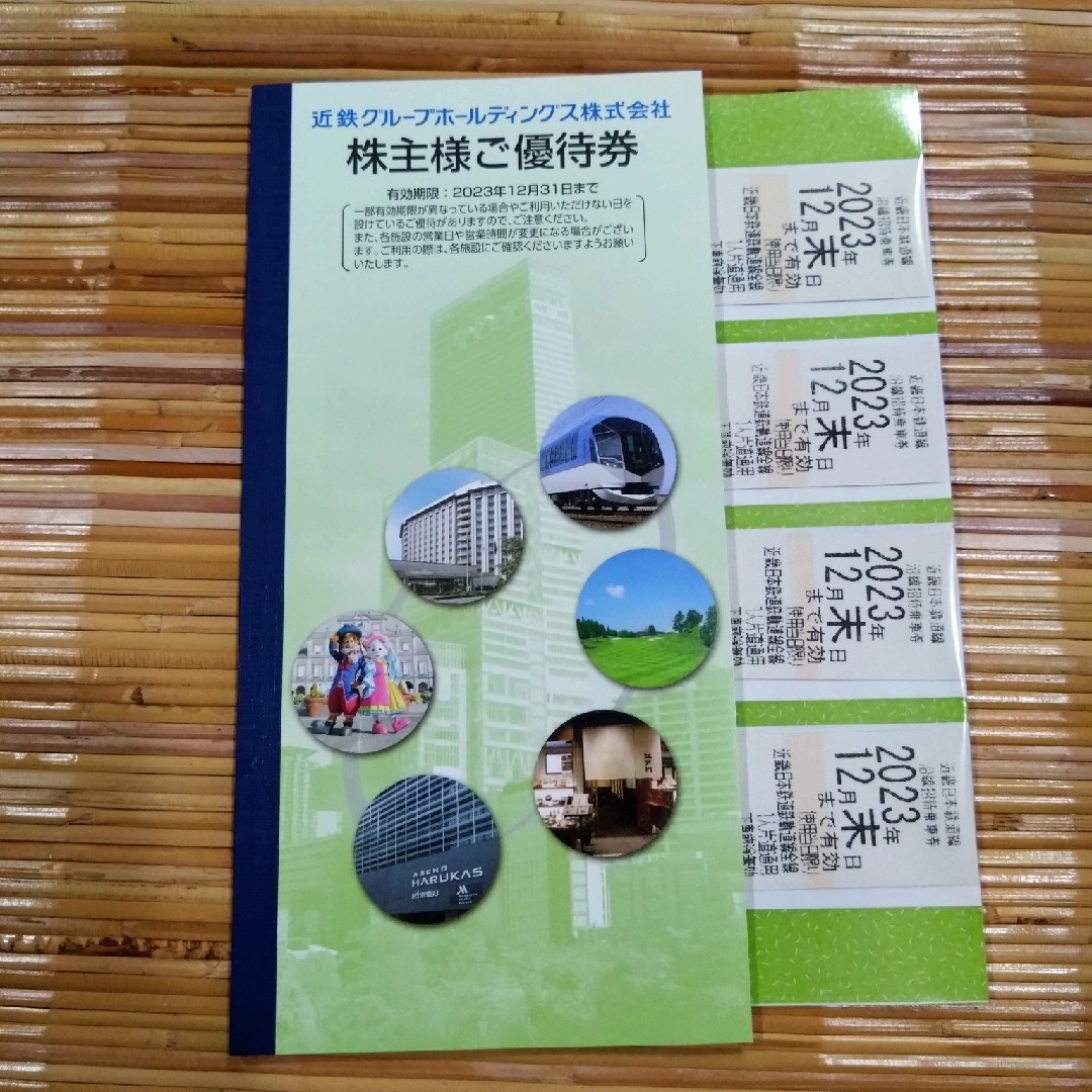 近鉄グループホールディングス　株主優待券 チケットの施設利用券(遊園地/テーマパーク)の商品写真