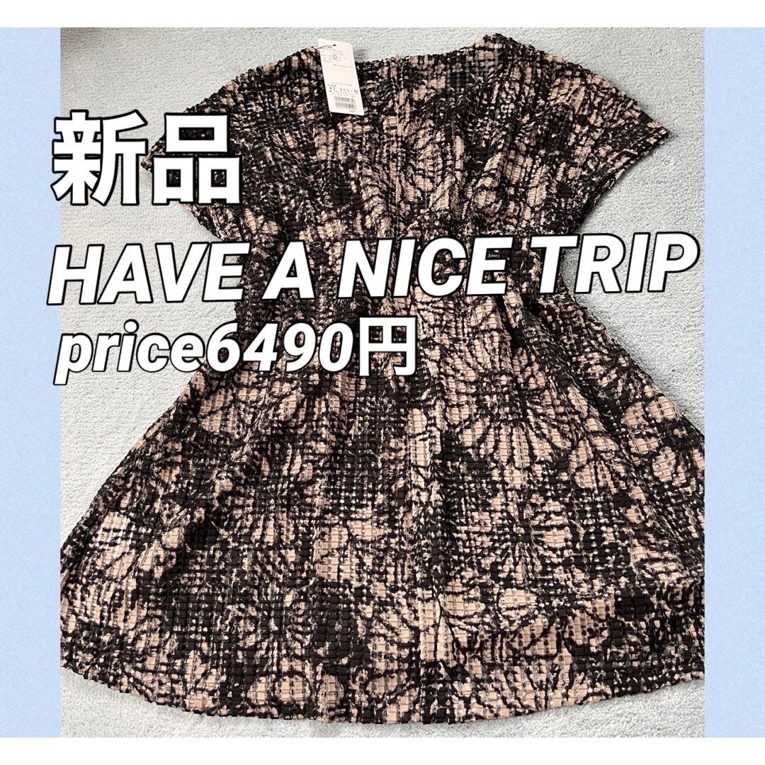 HAVE A NICE TRIP 通気性◎夏に涼しいリボンレース素材のチュニック レディースのトップス(チュニック)の商品写真