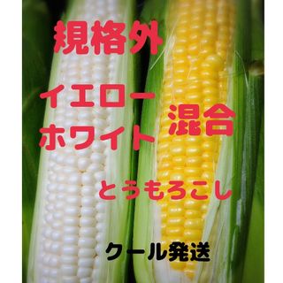 規格外混合とうもろこし 食べ比べセット(野菜)