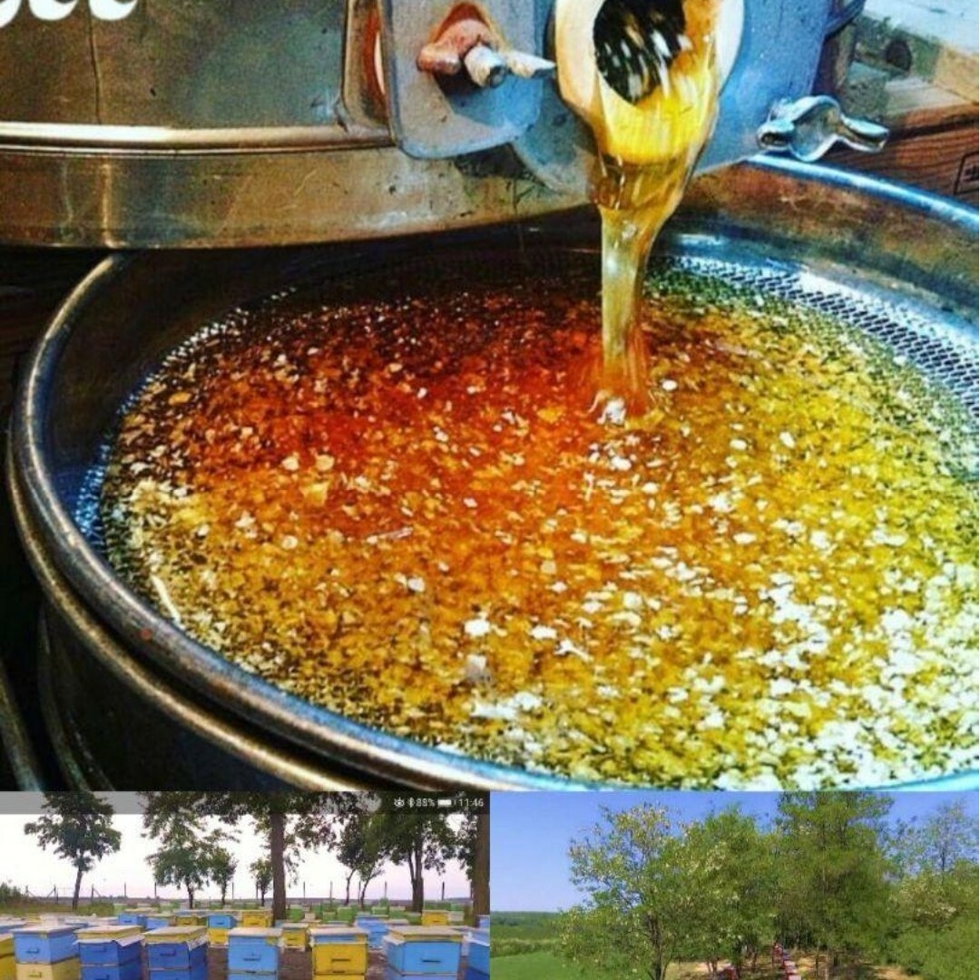 450g. ワイルドフラワー蜂蜜非加熱生プレミアムブルガリア産はちみつ 食品/飲料/酒の食品(調味料)の商品写真