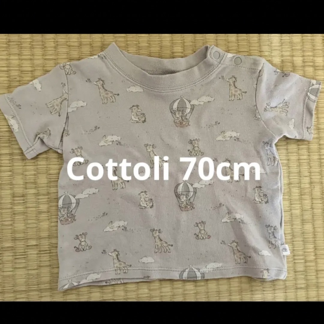 cottoli 半袖Tシャツ 70センチ - トップス