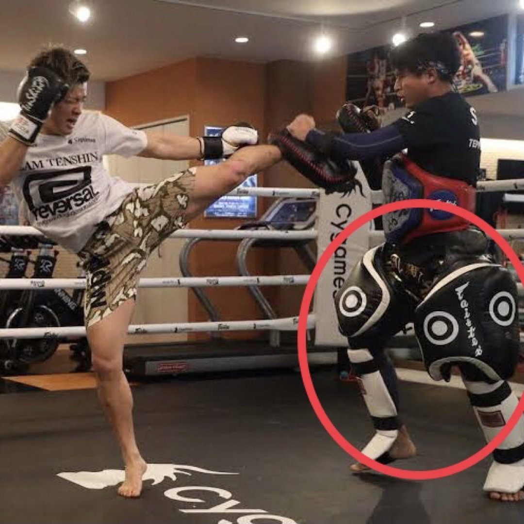新品】Fairtex ローキックパッド TP3 ブラック 新品】Fairtex ローキックパッド TP3 ブラック