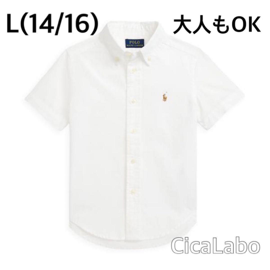 【新品】ラルフローレン ポニーロゴ 白シャツ L(14/16)