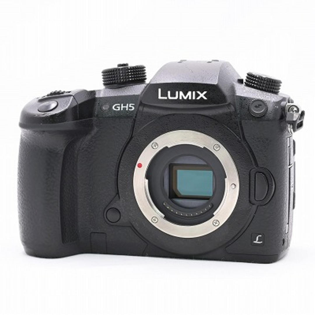 Panasonic LUMIX DC-GH5 ボディカメラ