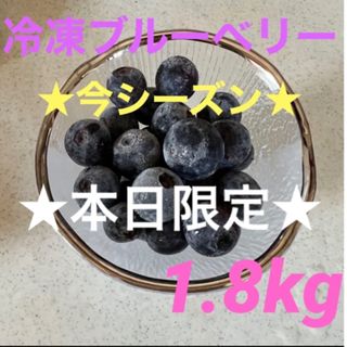 ★残り1セット★冷凍ブルーベリー　1.8kg 無農薬　大粒(フルーツ)