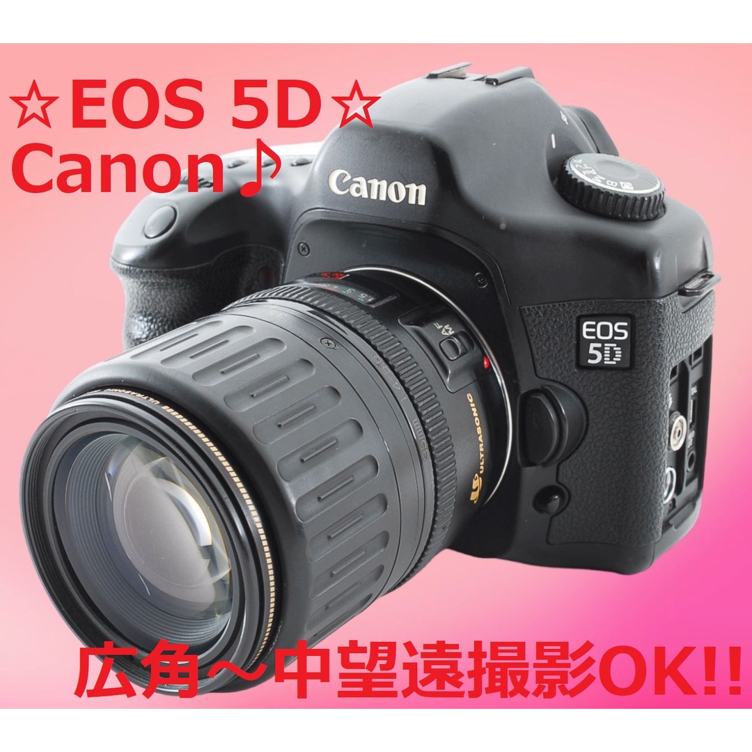 Canon EOS Kiss X50レンズセット《S数3434回》#1100
