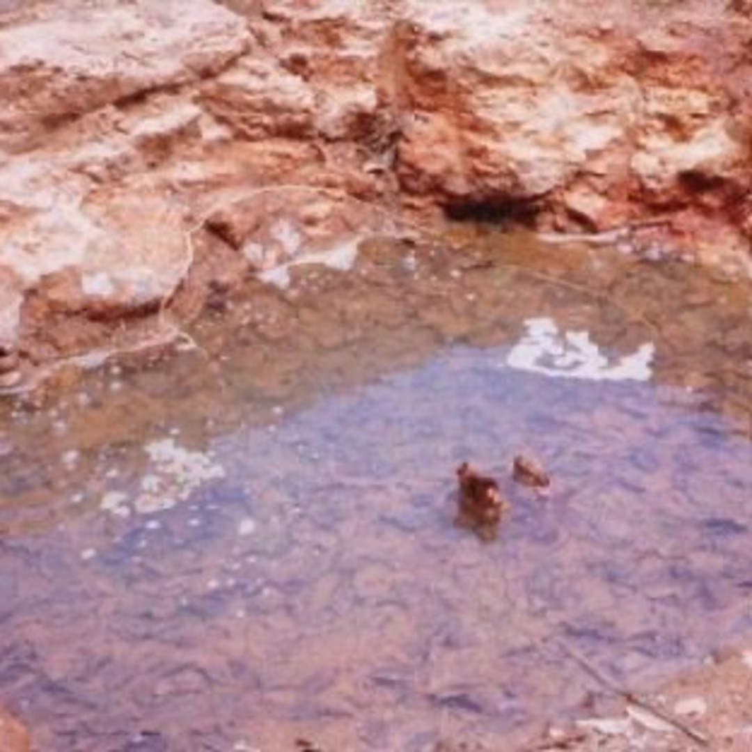 北海道二股ラジウム温泉「湯の華温泉器」500g コスメ/美容のボディケア(入浴剤/バスソルト)の商品写真